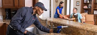 Best Termite Inspection and Treatment  in Buenaventura Lakes, FL